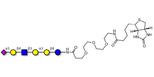 Sialylated isoglobopentaose (Sialylated iGb5) analogue type 2 linked to biotin (Linker-BT G) - Sialylated iGb5 analogue type 2