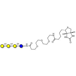 Galactosyl Globotriose (Gal-Gb3) linked to biotin (Linker-BT G)