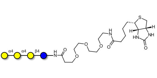 Galactosyl Globotriose (Gal-Gb3) linked to biotin (Linker-BT G)