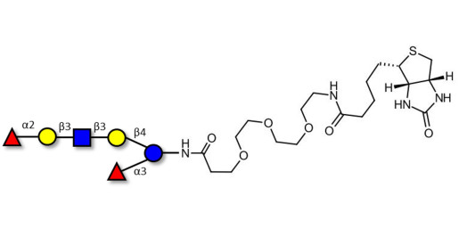 Lacto-N-Difucohexaose analogue linked to biotin (Linker-BT G)