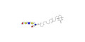 Lacto-N-Difucohexaose analogue linked to biotin (Linker-BT G)