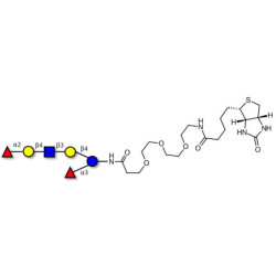 Lacto-N-neoDifucohexaose analogue linked to biotin (Linker-BT G)