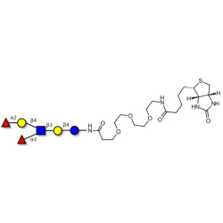 Lewis y (Ley) hexaose / Lacto-N-neoDiFucohexaose I (LNnDFH-I) linked to biotin (Linker-BT G)