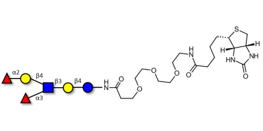 Lewis y (Ley) hexaose / Lacto-N-neoDiFucohexaose I (LNnDFH-I) linked to biotin (Linker-BT G)