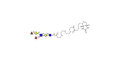 Lewis y (Ley) hexaose / Lacto-N-neoDiFucohexaose I (LNnDFH-I) linked to biotin (Linker-BT G)