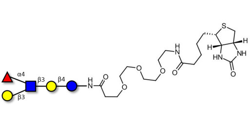 Lacto-N-fucopentaose II (LNFP II) linked to biotin (Linker-BT G) - Lewis A antigen