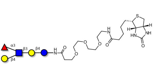 Lacto-N-fucopentaose III (LNFP III) linked to biotin (Linker-BT G) - Lewis x pentaose