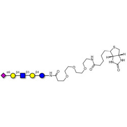 LS-Tetrasaccharide c (LSTc)  linked to biotin (Linker-BT G)