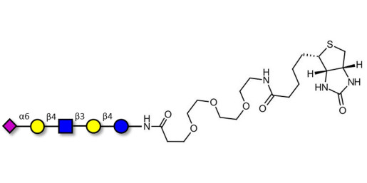 LS-Tetrasaccharide c (LSTc)  linked to biotin (Linker-BT G) - Sialyl-lacto-N-neotetraose c ; SLNnT-c