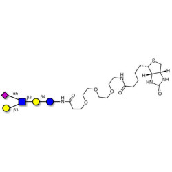 LS-Tetrasaccharide b (LSTb)  linked to biotin (Linker-BT G)