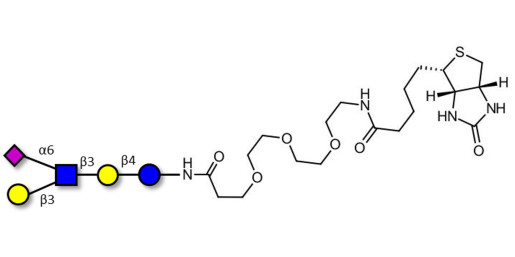 LS-Tetrasaccharide b (LSTb)  linked to biotin (Linker-BT G) - Sialyl-lacto-N-tetraose b ; SLNT-b