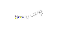 LS-Tetrasaccharide b (LSTb)...