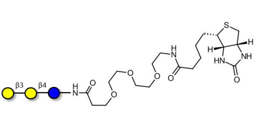 3'-Galactosyllactose (3'GL)  linked to biotin (Linker-BT G)