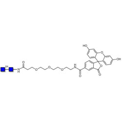 Chitinbiose DP2 linked to fluorescein (Linker-FLUO B)
