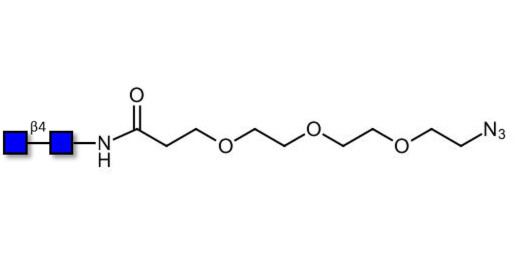 Chitinbiose DP2 with free terminal azide (Linker-N3 C) - Chitin oligosaccharides DP2 ; N,N′-Diacetylchitobiose ; Di-N-acetylchitobiose