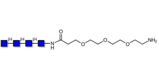 Chitintetraose DP4 with free terminal amine (Linker-NH2 F) - Chitin oligosaccharides DP4 ; N,N',N'',N'''-Tetraacetylchitotetraose ; Tetra-N-acetylchitotetraose