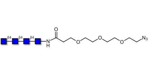 Chitintetraose DP4 with free terminal azide (Linker-N3 C) - Chitin oligosaccharides DP4 ; N,N',N'',N'''-Tetraacetylchitotetraose ; Tetra-N-acetylchitotetraose