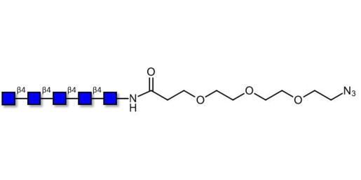 Chitinpentaose DP5 with free terminal azide (Linker-N3 C) - Chitin oligosaccharides DP5 ; N,N',N'',N''',N''''-Pentaacetylchitopentaose ; Penta-N-acetylchitopentaose