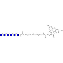 Chitinhexaose DP6 linked to fluorescein (Linker-FLUO B)