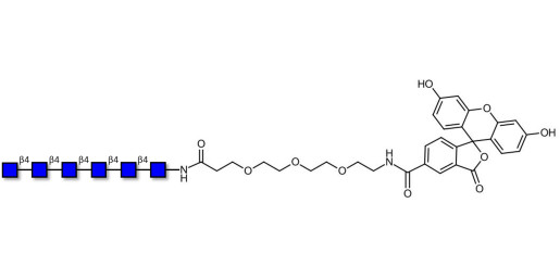 Chitinhexaose DP6 linked to fluorescein (Linker-FLUO B) - Chitin oligosaccharides DP6 ; N,N',N'',N''',N'''',N'''''-Hexaacetylchitohexaose ; Hexa-N-acetylchitohexaose