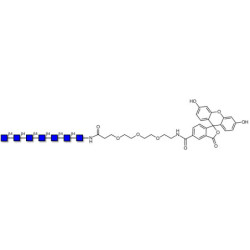 Chitinheptaose DP7 linked to fluorescein (Linker-FLUO B)