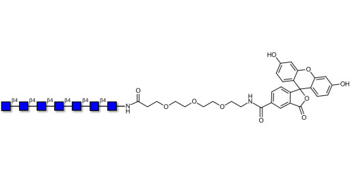 Chitinheptaose DP7 linked to fluorescein (Linker-FLUO B) - GLU437 Chitin oligosaccharides DP7 ; N,N',N'',N''',N'''',N''''',N''''''-Heptaacetylchitoheptaose ; Hepta-N-acetylchitoheptaose