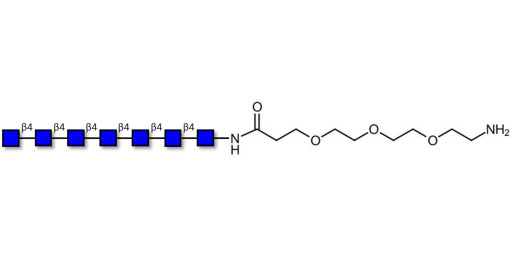 Chitinheptaose DP7 with free terminal amine (Linker-NH2 F) - GLU437 Chitin oligosaccharides DP7 ; N,N',N'',N''',N'''',N''''',N''''''-Heptaacetylchitoheptaose ; Hepta-N-acetylchitoheptaose
