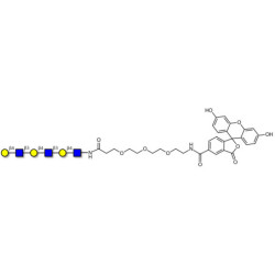 Tri-N-Acetyl-D-Lactosamine linked to fluorescein (Linker-FLUO B)