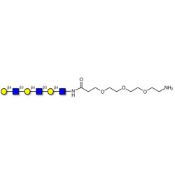 Tri-N-Acetyl-D-Lactosamine with free terminal amine (Linker-NH2 F)