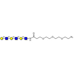 Tri-N-Acetyl-D-Lactosamine with free terminal azide (Linker-N3 C)