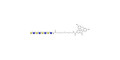 Tetra-N-Acetyl-D-Lactosamine linked to fluorescein (Linker-FLUO B) - TetraLacNAc; Tetra-(2-Acetamido-2-deoxy-4-O-β-D-galactopyranosyl-D-glucopyranose); Tetra-(N-Acetyl-4-O-(β-D-galactopyranosyl)-D-glucosamine)