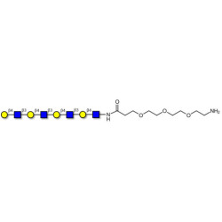 Tetra-N-Acetyl-D-Lactosamine with free terminal amine (Linker-NH2 F)