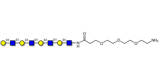 Tetra-N-Acetyl-D-Lactosamine with free terminal amine (Linker-NH2 F) - TetraLacNAc; Tetra-(2-Acetamido-2-deoxy-4-O-β-D-galactopyranosyl-D-glucopyranose); Tetra-(N-Acetyl-4-O-(β-D-galactopyranosyl)-D-glucosamine)