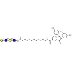Di-N-Acetyl-D-Lactosamine linked to fluorescein (Linker-FLUO B)
