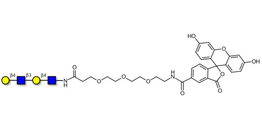 Di-N-Acetyl-D-Lactosamine linked to fluorescein (Linker-FLUO B) - DiLacNAc; Di-(2-Acetamido-2-deoxy-4-O-β-D-galactopyranosyl-D-glucopyranose); Di-(N-Acetyl-4-O-(β-D-galactopyranosyl)-D-glucosamine)