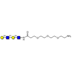 Di-N-Acetyl-D-Lactosamine with free terminal amine (Linker-NH2 F)