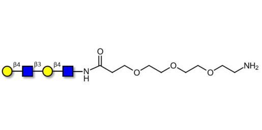 Di-N-Acetyl-D-Lactosamine with free terminal amine (Linker-NH2 F) - DiLacNAc; Di-(2-Acetamido-2-deoxy-4-O-β-D-galactopyranosyl-D-glucopyranose); Di-(N-Acetyl-4-O-(β-D-galactopyranosyl)-D-glucosamine)