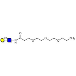 N-Acetyl-D-Lactosamine (LacNAc) type II with free terminal amine (Linker-NH2 F)