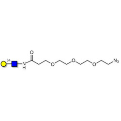 N-Acetyl-D-Lactosamine (LacNAc) type II with free terminal azide (Linker-N3 C)