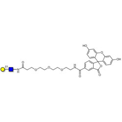 Lacto-N-Biose / N-Acetyl-D-Lactosamine (LacNAc) type I linked to fluorescein (Linker-FLUO B)