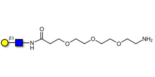 Lacto-N-Biose / N-Acetyl-D-Lactosamine (LacNAc) type I with free terminal amine (Linker-NH2 F) - 2-Acetamido-2-deoxy-3-O-(β-D-galactopyranosyl)-D-glucopyranose