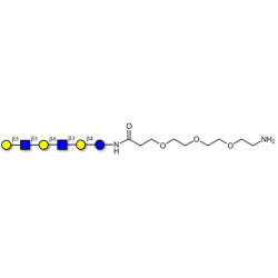 Para-Lacto-N-hexaose (Para-LNH) with free terminal amine (Linker-NH2 F)