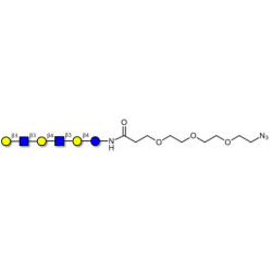 Para-Lacto-N-hexaose (Para-LNH) with free terminal azide (Linker-N3 C)