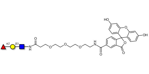 Blood group H antigen triose type 1 linked to fluorescein (Linker-FLUO B) - Blood group H trisaccharide type I  ; 