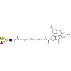 Blood group A antigen tetraose type 1 linked to fluorescein (Linker-FLUO B)