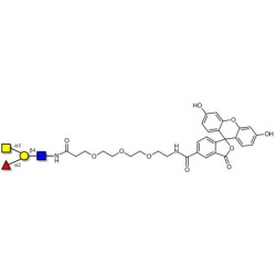 Blood group A antigen tetraose type 2 linked to fluorescein (Linker-FLUO B)