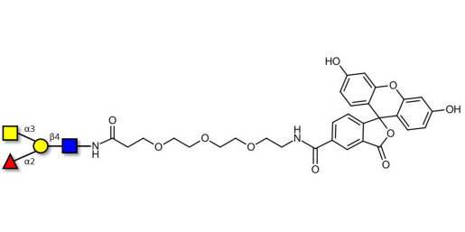 Blood group A antigen tetraose type 2 linked to fluorescein (Linker-FLUO B) - Blood Group A tetrasaccharide type II 