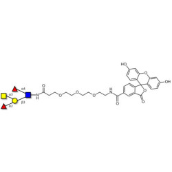 Blood group A Lewis b antigen pentaose type 1 linked to fluorescein (Linker-FLUO B)