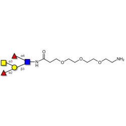 Blood group A Lewis b antigen pentaose type 1 with free terminal amine (Linker-NH2 F)
