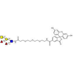 Blood group A Lewis y antigen pentaose type 2 linked to fluorescein (Linker-FLUO B)